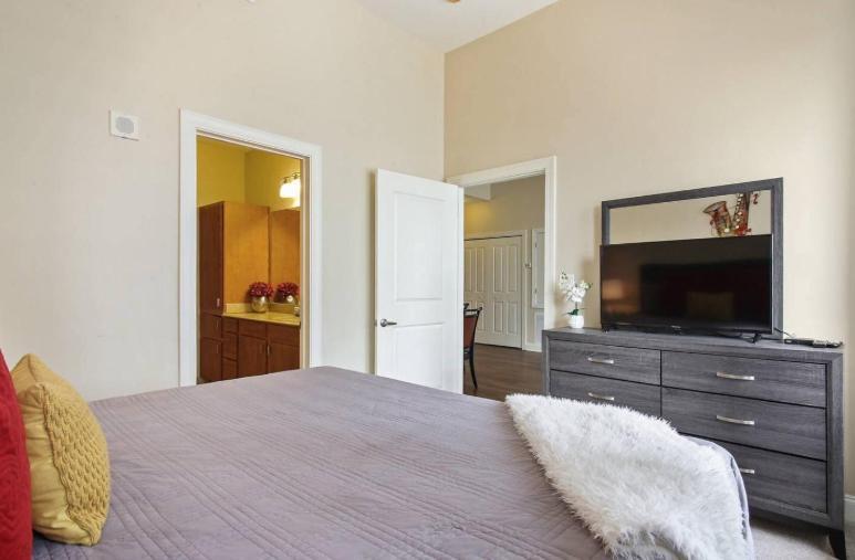 Amazing Condos Beautiful View 2 Blocks To French Quarter, Small Rooftop Pool, Gym, Seanger Theater, Super Dome, And Bourbon St New Orleans Eksteriør bilde